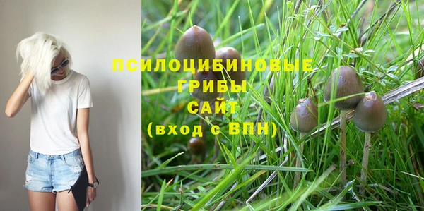 молекула духа Зерноград